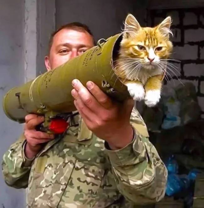 V�kendovky